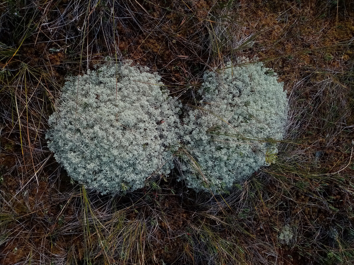 Посмотрите, какая ровная восьмерка получилась!