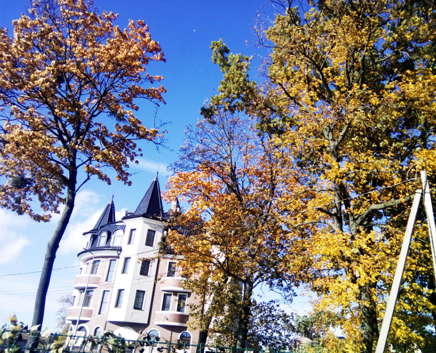 На фото: солнечным ветреным днем гуляю в обед около озера