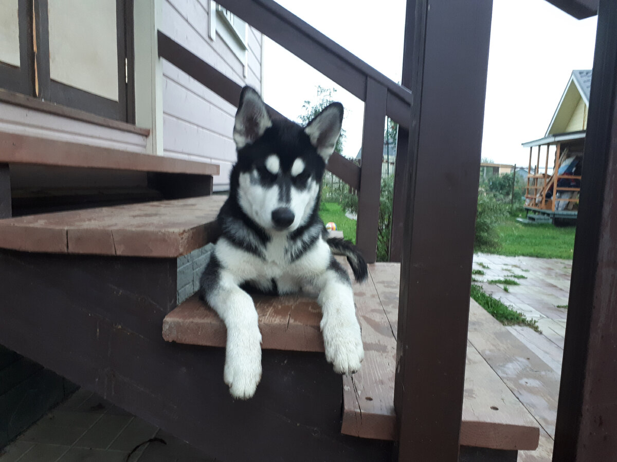 ну разве ж не красавчик?