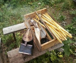 В магазинах для пчеловодов можно будет приобрести инвентарь.