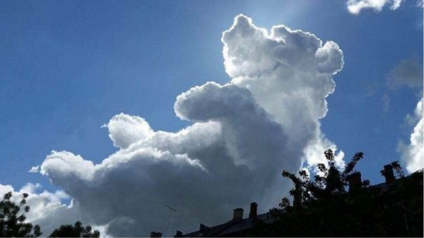 Приглядитесь к облакам: на кого они похожи?