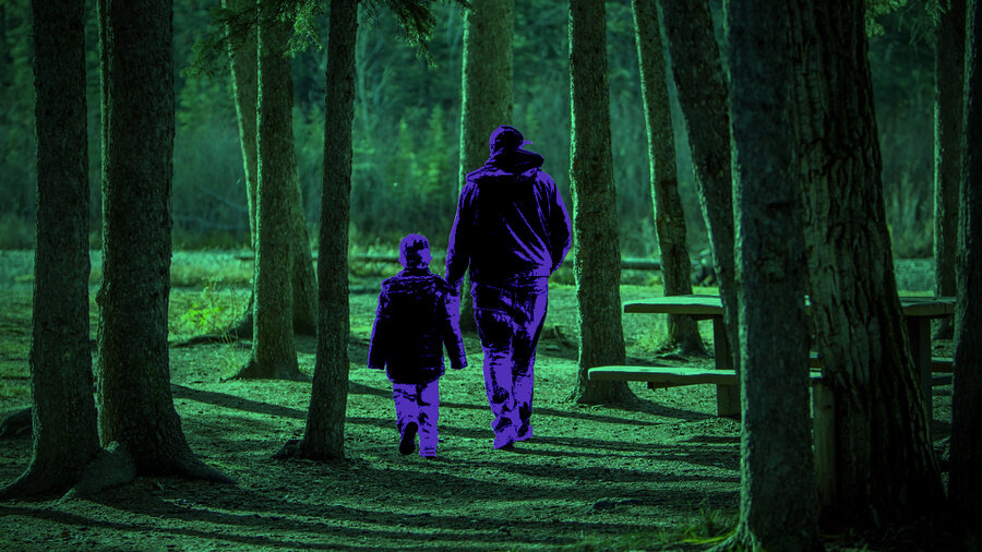 Картинка: pixabay.com/Baza