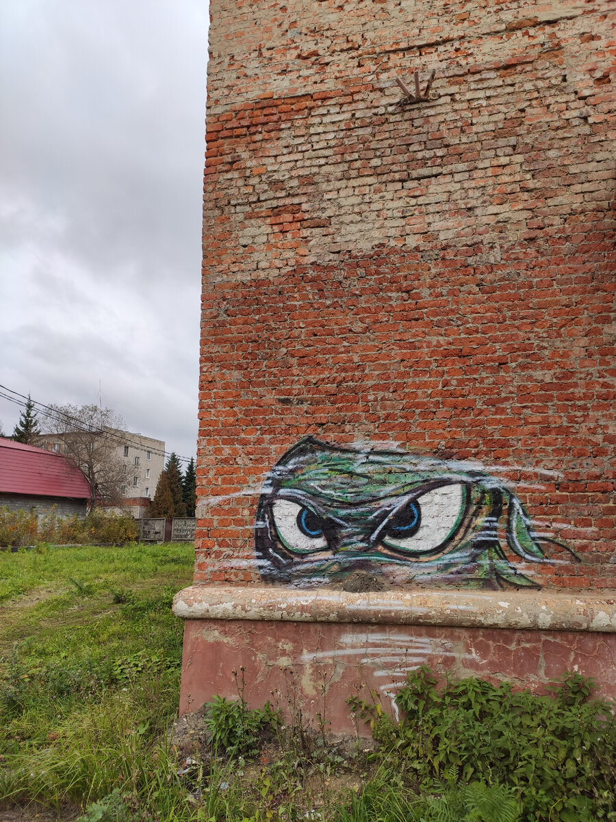 Изображение на одном из зданий в г. Рошаль