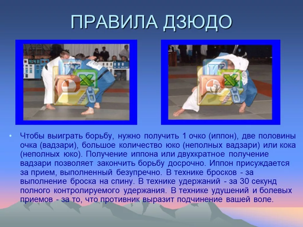 Дзюдо правила борьбы