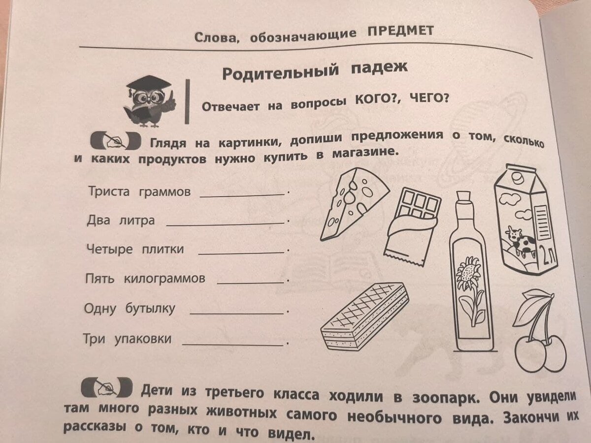 "Развитие грамматического строя речи" Праведниковой