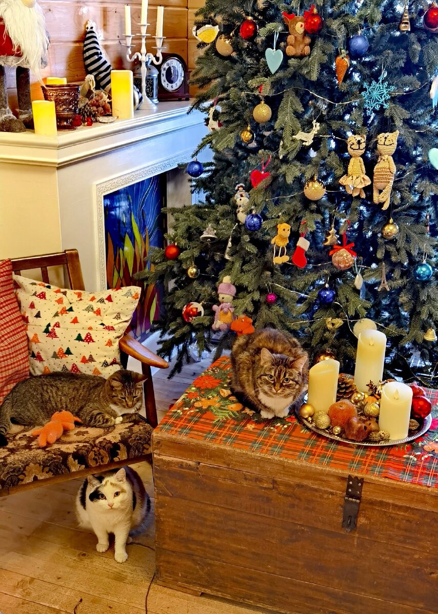 Княжна Элен, Сказка и Момо