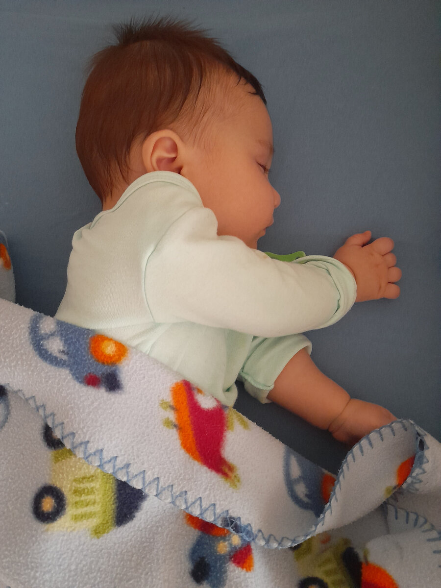 Фото автора. Зайка спит.