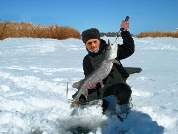 Первая пошла!