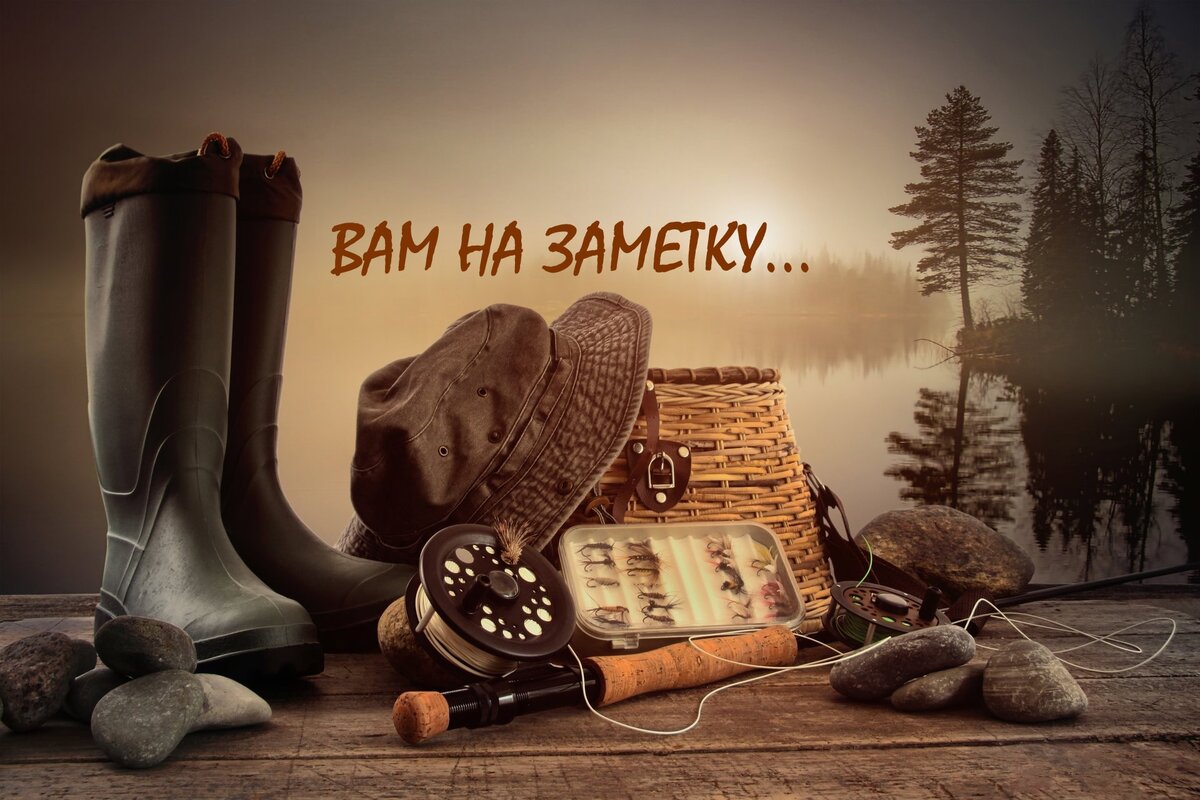 Вам на заметку...