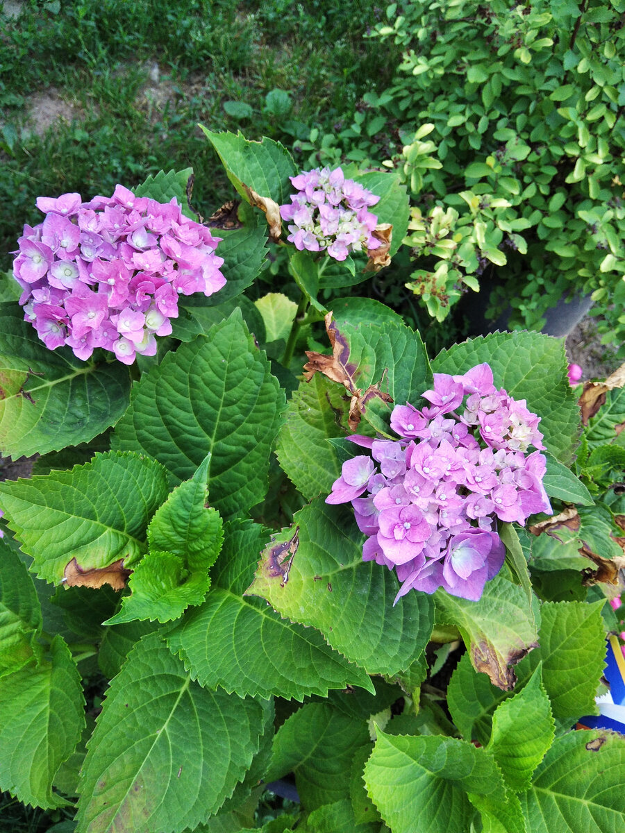 лето 2021 года