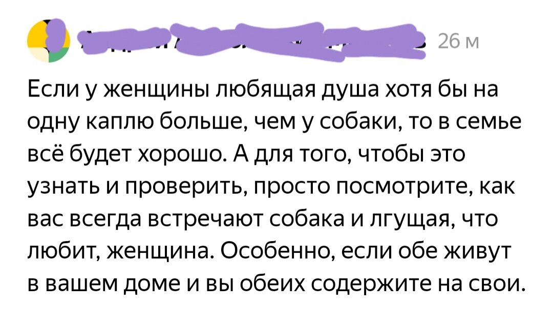 Как призвать к ответу нерадивого хозяина собаки?