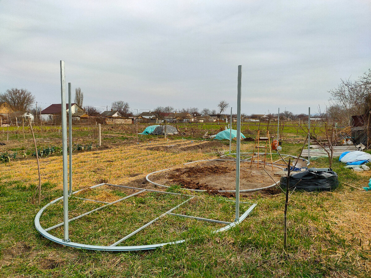 Фотография сделана автором канала "Девушка в зелёном саду 🍎"