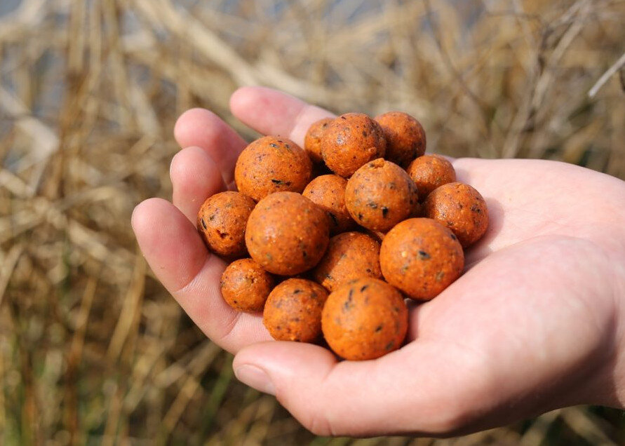 Бойлы фотография с рыбалки.