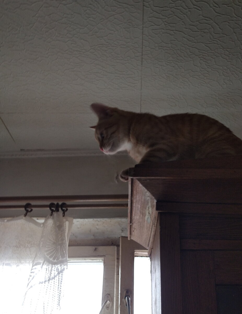 Личное фото. 