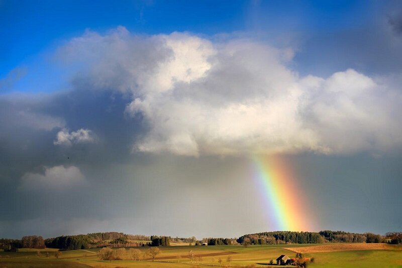 Фото: pixabay.com