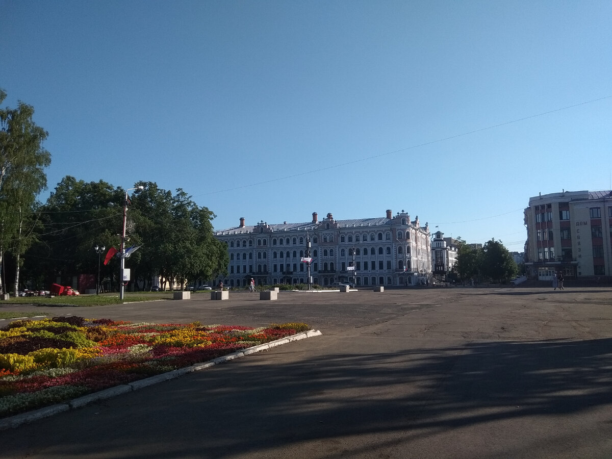 В центре Вологды растет дерево, которому больше 100 лет! | Прогулки с  Девчулей Конфеткиной | Дзен