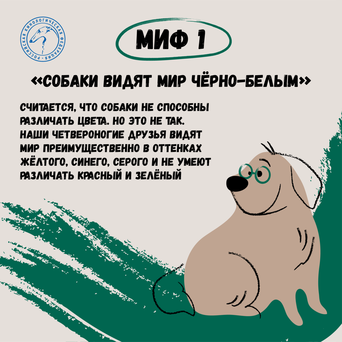 Международный день собаки
