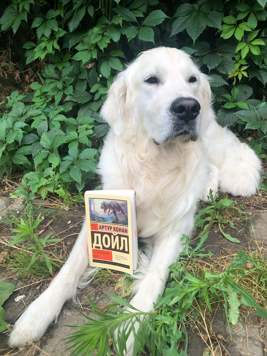 Фото автора статьи