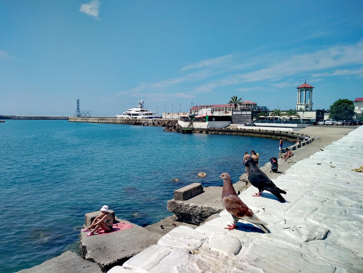 Вместе на море сочи. Сочи море. Черное море Сочи. Море в Сочи сейчас. Море в Сочи в августе.