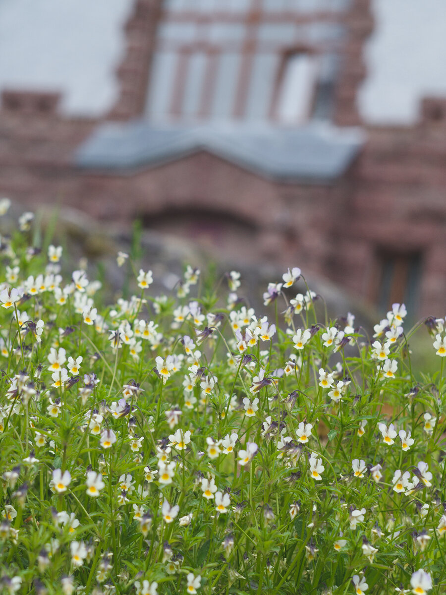 Кирха в Мельникове