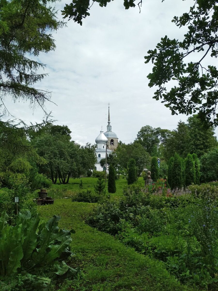 Автор фото: Надежда Савинова