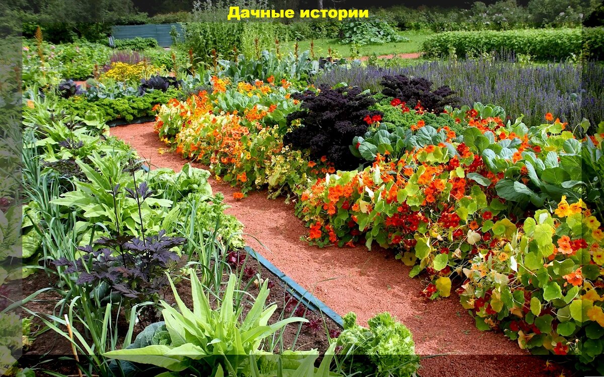 https://vk.com/photo-159774511_457255705