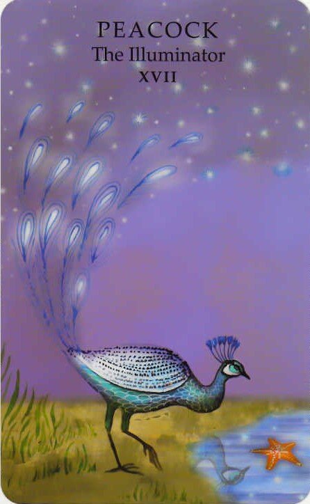 Колода: "The Animal Wisdom Tarot"