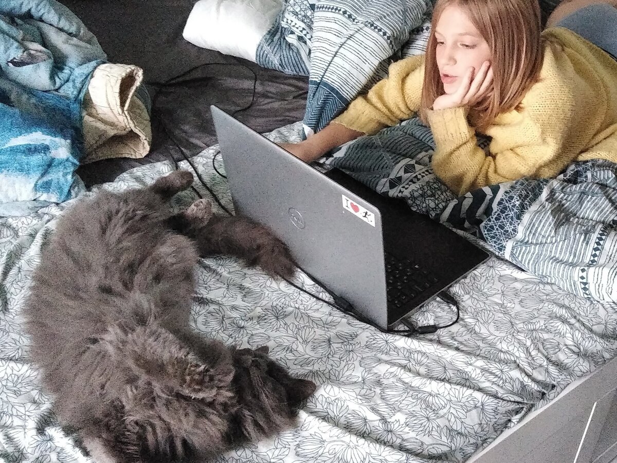 Дневники нынче все электронные