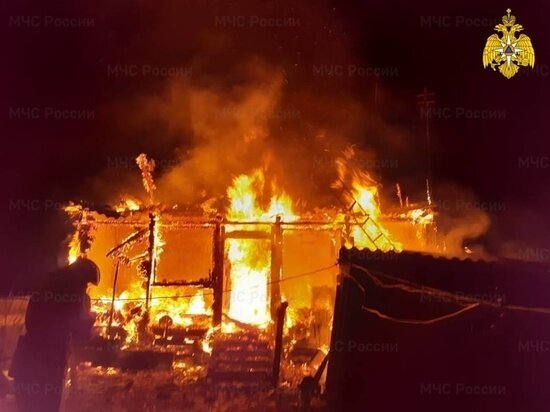     Фото: ГУ МЧС России по Курской области