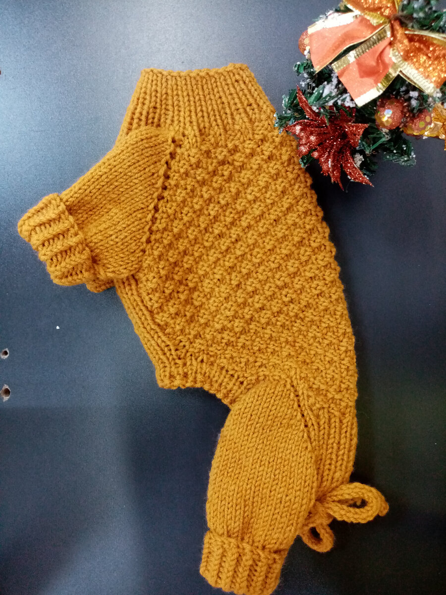 Комбинезон для той-терьера🐩