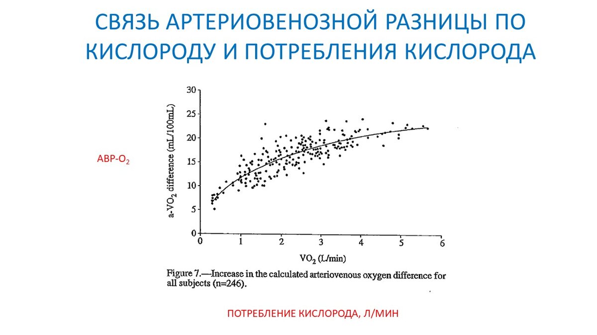 Сердце или мышцы - что лимитирует выносливость? Научный эксперимент |  Василий Волков | Дзен