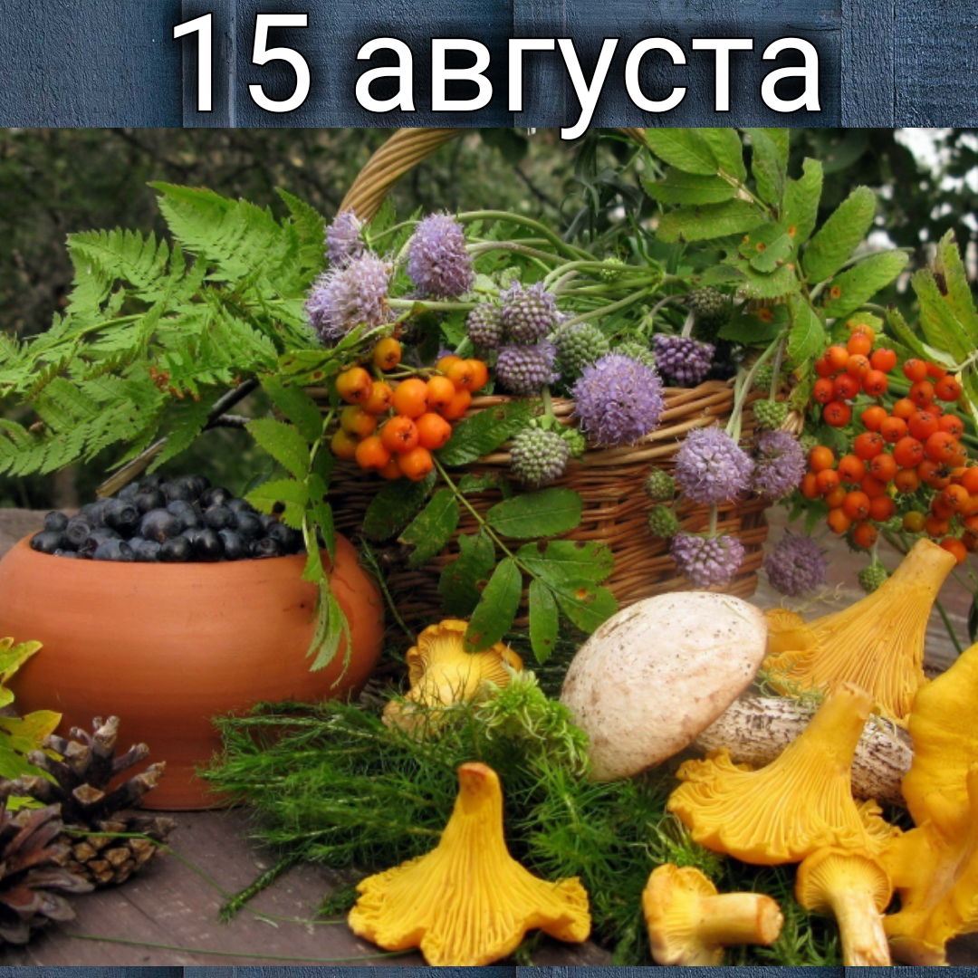 фото дня   новые знаки природы 