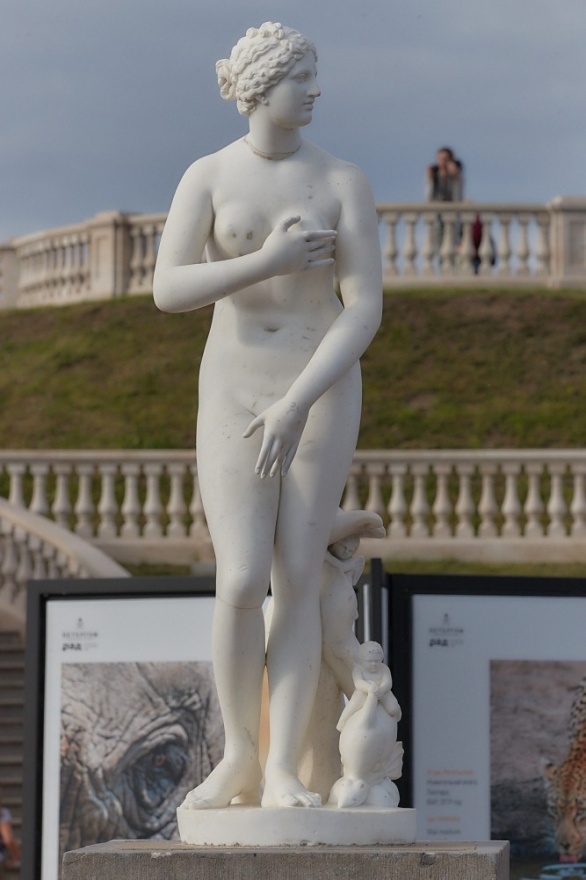 Фото: пресс-служба Петергофа