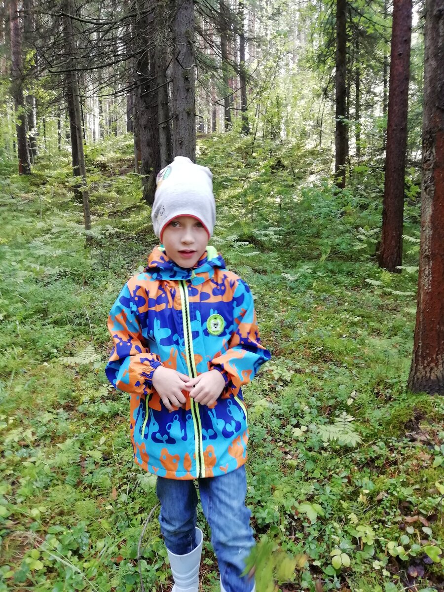 Мирон очень любит прогулки в лесу. 