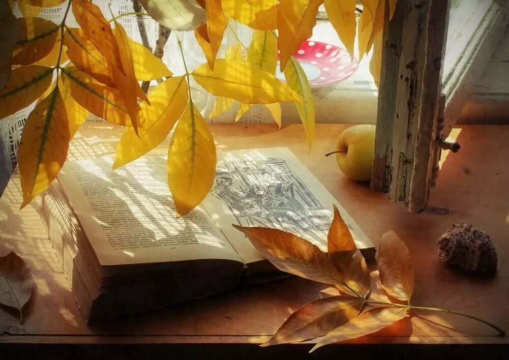 Книжный дождь картинка