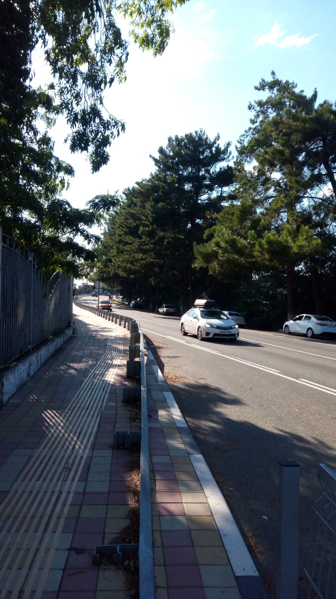 Фото автора,август 2020,поселок Агой 