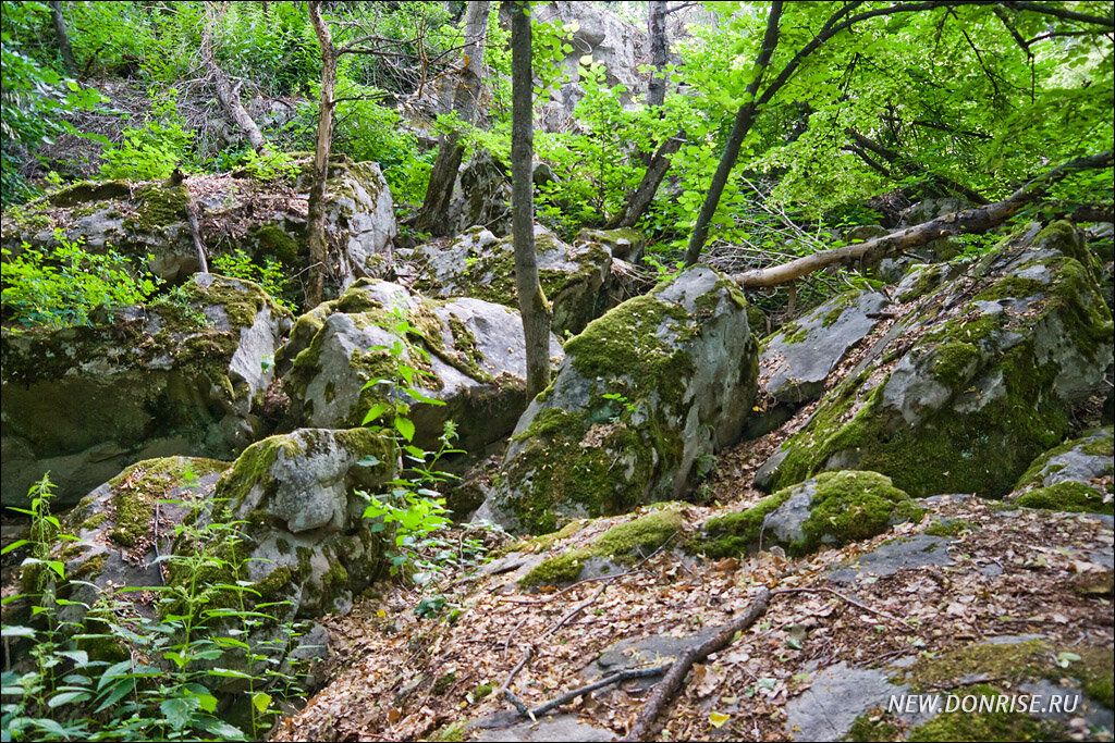 Начало Ущелья