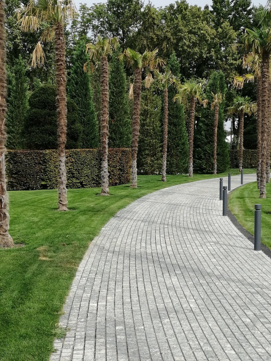 Мы долго гуляли и никак не могли налюбоваться.