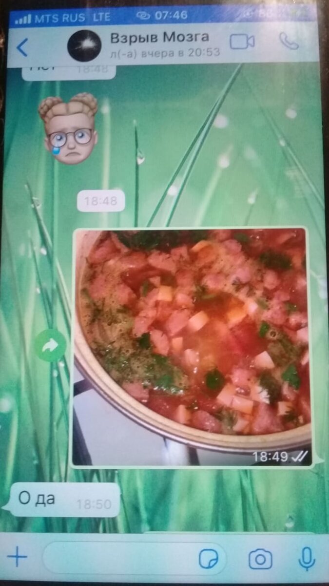 Личное. Булькает на плите солянка к Саниному приезду.