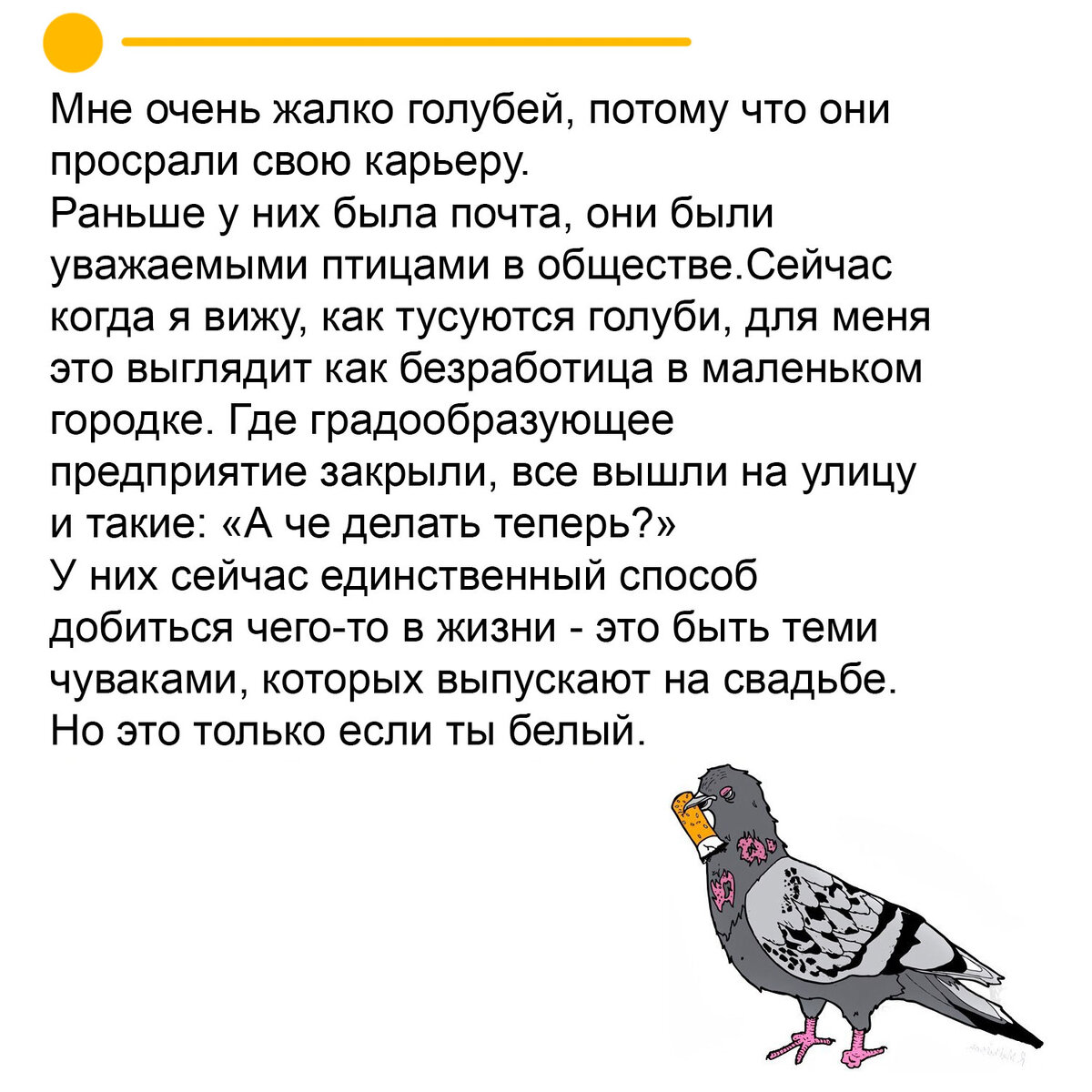 Что делать если нашел голубя. Мне очень жалко голубей. Мне очень жалко голубей потому что. Стих про голубя смешной. Голуби раньше были уважаемыми птицами.