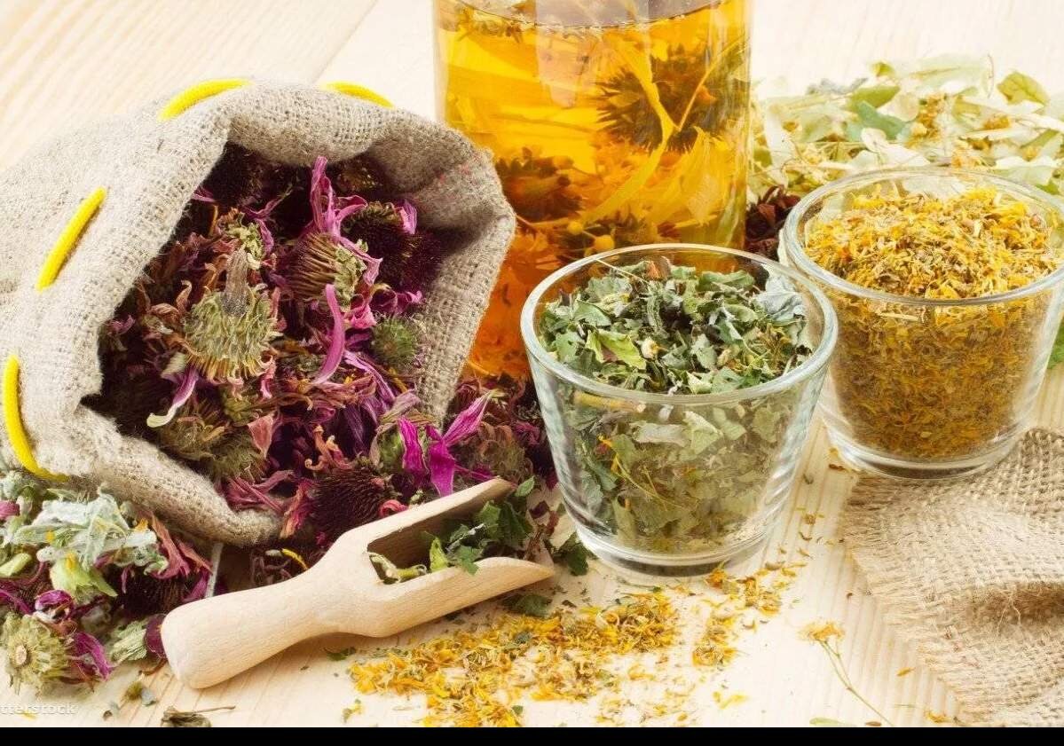 Лекарственные травы применяют в народной медицине внутрь и наружно. Вариантов приготовления лекарственных смесей существует много, но основные правила, в большинстве случаев, нужно соблюдать. Внутрь принимают отвар лекарственных трав, навар, экстракты, сок растений а также порошок из высушенных частей.Наружно применяют настойка трав в виде клизм, осторожно нужно действовать если у вас геморрой, ванн, припарок, компрессов, мазей непосредственно на больные места.Практика народной медицины доказывает, что одни и те же растения неодинаково влияют на разных людей. Особенно отмечается более сильное действие смесей различных трав. Благоприятное действие смесей трав особенно заметно при лечении сложных заболеваний, имеющих сопутствующие недуги. Именно взаимодействие разных трав повышает эффект при лечении хронических болезней. Оптимальной дозировкой лекарственных растений принято считать одну столовую ложку с верхом измельченного растения на стакан кипятка, или четыре столовые ложки с верхом на литр кипятка при приеме внутрь. Если смеси содержат кору, семена, ягоды - в большинстве случаев применяют отвары, в остальных случаях напары.Для правильного приготовления лекарственных смесей необходимо придерживаться нескольких правил:Сырье должно содержать именно те компоненты, какие указаны в рецепте, изменять состав нельзя: эффективность может быть гораздо ниже.Не разрешается применение алюминиевой посуды.Готовые отвары сохранять не более 1-2 суток в темном, холодном месте.Запрещается применение некоторых составляющих в свежем виде, например, кора крушины, может быть использована после одного года хранения.Для максимального восприятия организмом, смеси лекарственных трав обычно принимают за 15-30 минут до еды.