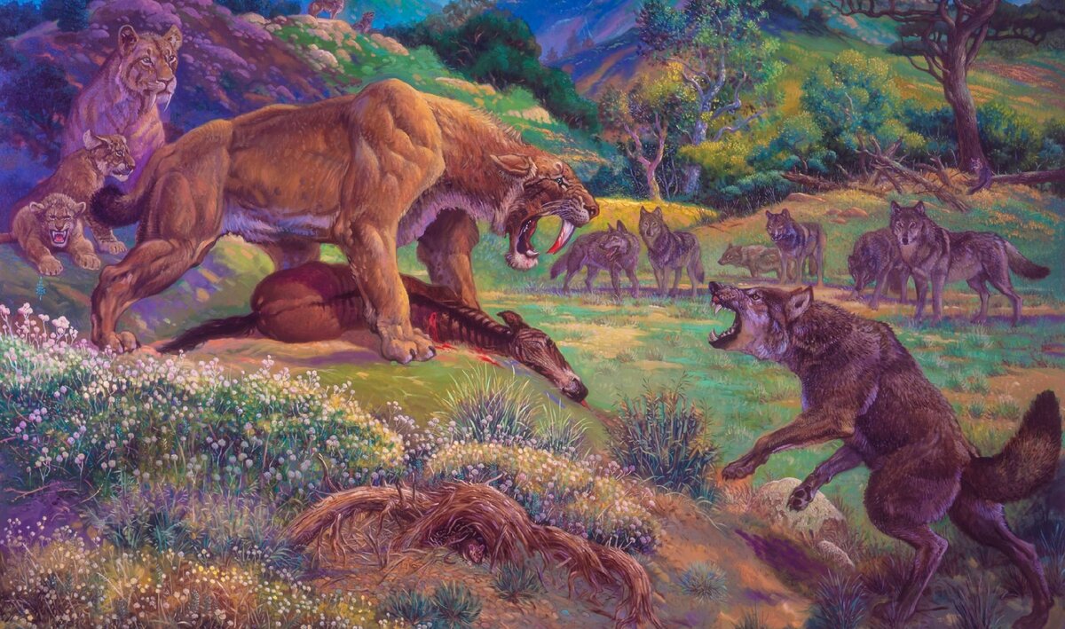 Кошки против собак: начало. 