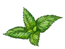 Каждый имеет право на личный выбор кулинарных предпочтений. Религиозный пост, непереносимость лактозы, поддержка идей вегетарианства, веганства или сыроедения - неважно, что именно привело вас в мир веганских десертов! Главное, чтобы этот мир стал для вас самым вкусным!