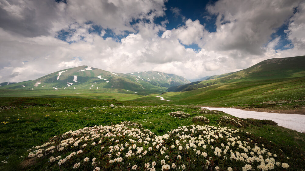 Плато Лаго Наки Альпийские Луга