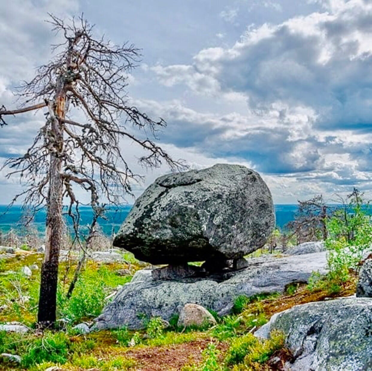 Источник: @vottavaara1