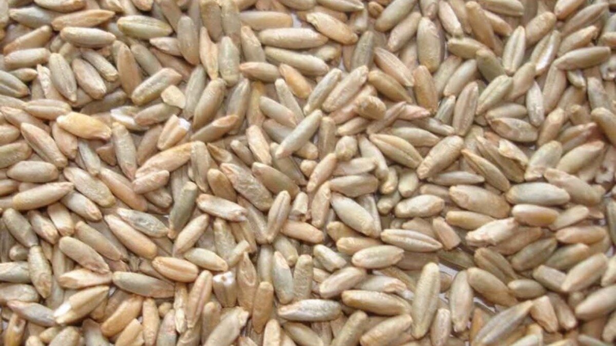 Фото:nsh.by
Фотография носит иллюстративный характер
