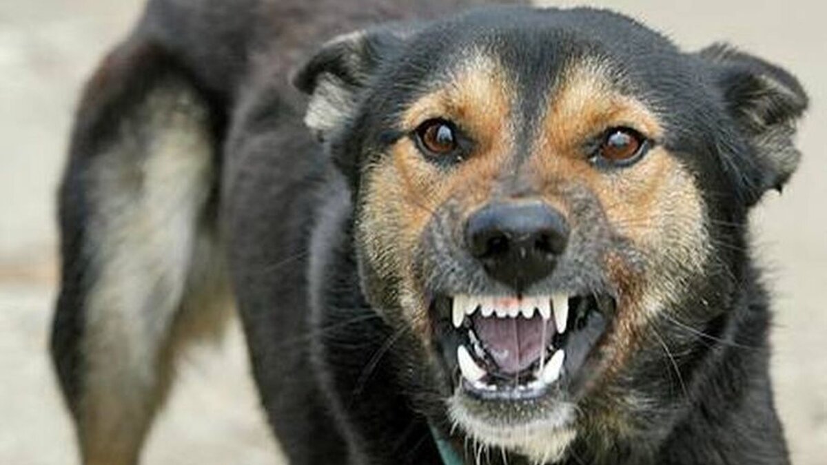 Фото для обложки 360tv.ru