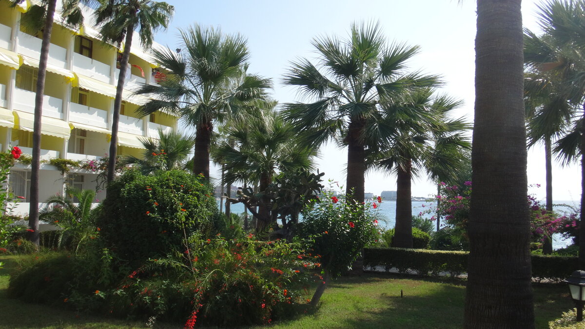 фото из личного архива. ноябрь 2019