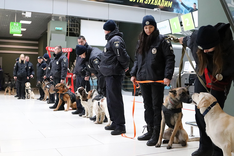 Фото с wing.com.ua