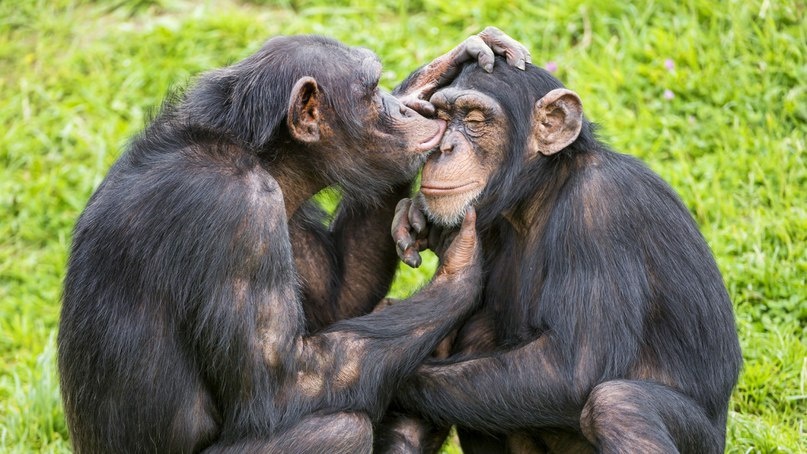 Представьте что самый близкий и родной человек ,Ваш муж или жена, предаст Вас и разрушит идиллию счастья семьи в один день. Такое не возможно? Я тоже так думала...